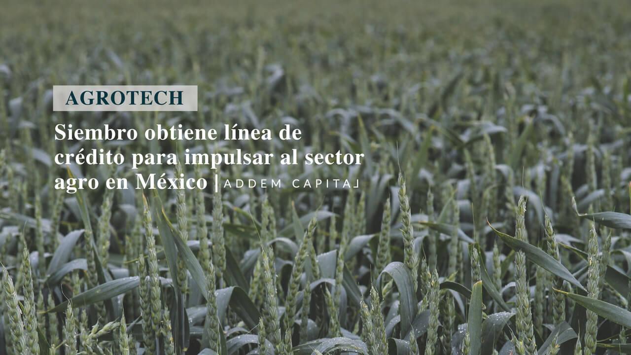 Siembro obtiene línea de crédito para impulsar al sector agro en México